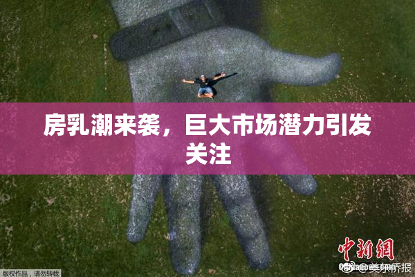 房乳潮来袭，巨大市场潜力引发关注