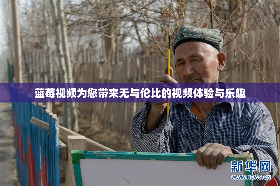 蓝莓视频为您带来无与伦比的视频体验与乐趣