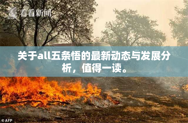 关于all五条悟的最新动态与发展分析，值得一读。