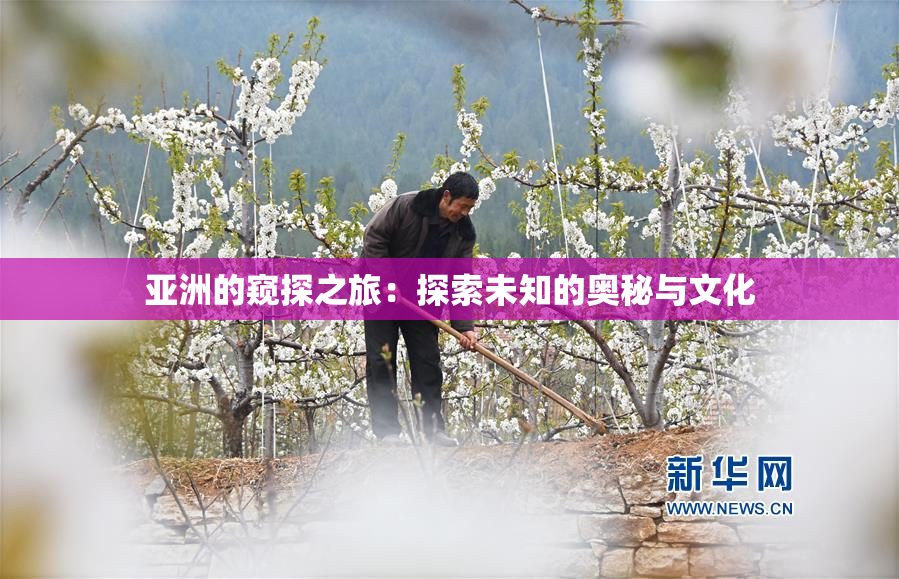 亚洲的窥探之旅：探索未知的奥秘与文化