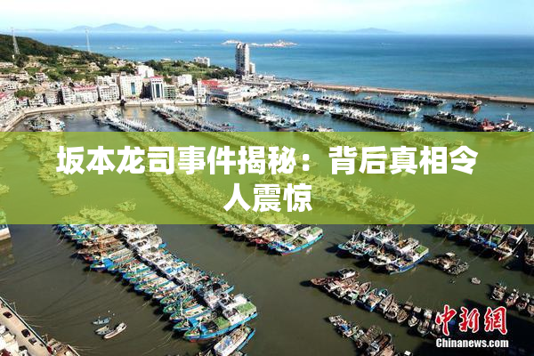 坂本龙司事件揭秘：背后真相令人震惊