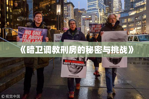 《暗卫调教刑房的秘密与挑战》