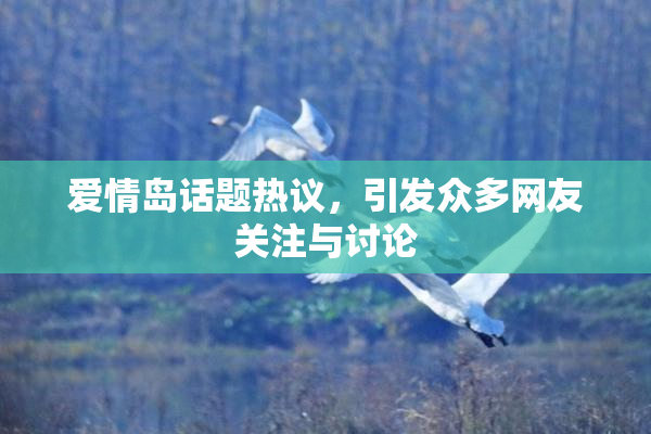 爱情岛话题热议，引发众多网友关注与讨论