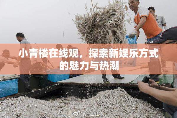小青楼在线观，探索新娱乐方式的魅力与热潮