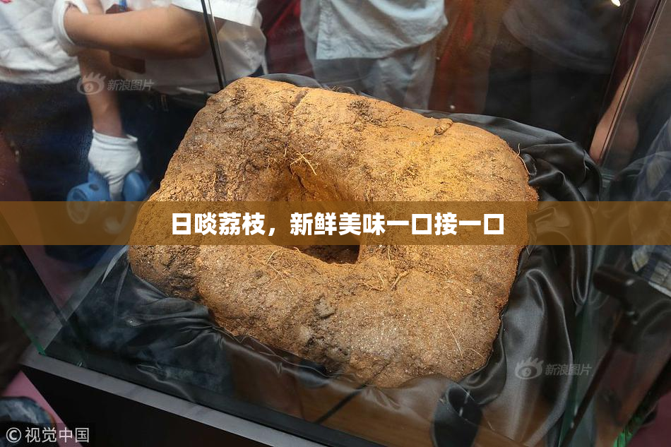 日啖荔枝，新鲜美味一口接一口