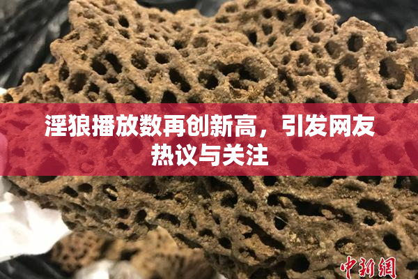 淫狼播放数再创新高，引发网友热议与关注