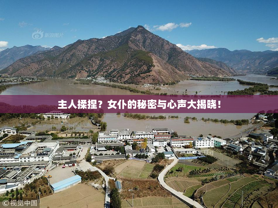 主人揉捏？女仆的秘密与心声大揭晓！