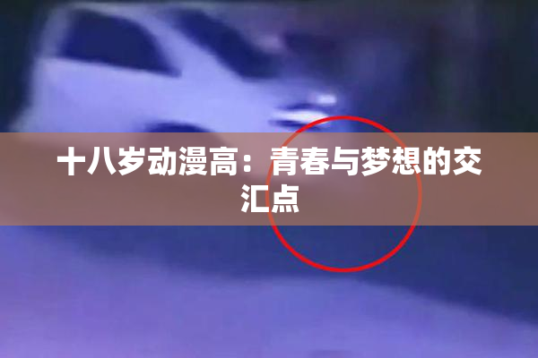 十八岁动漫高：青春与梦想的交汇点
