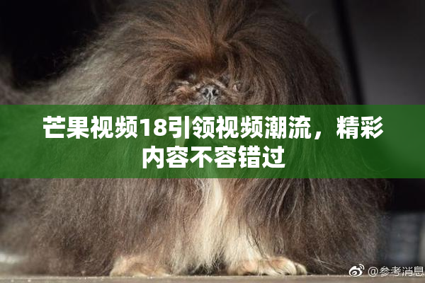 芒果视频18引领视频潮流，精彩内容不容错过