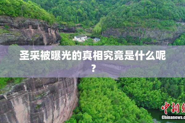 圣采被曝光的真相究竟是什么呢？