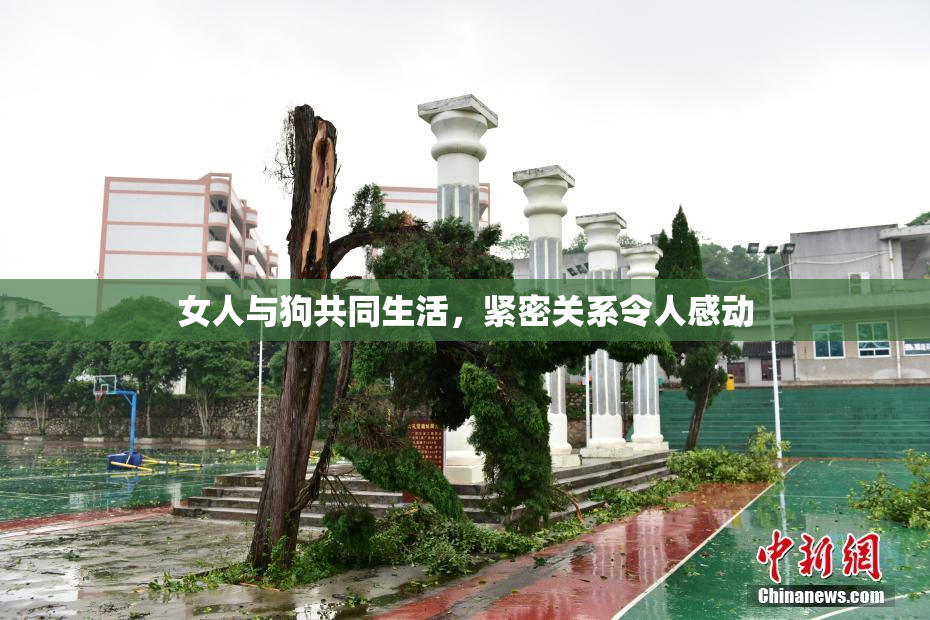 女人与狗共同生活，紧密关系令人感动