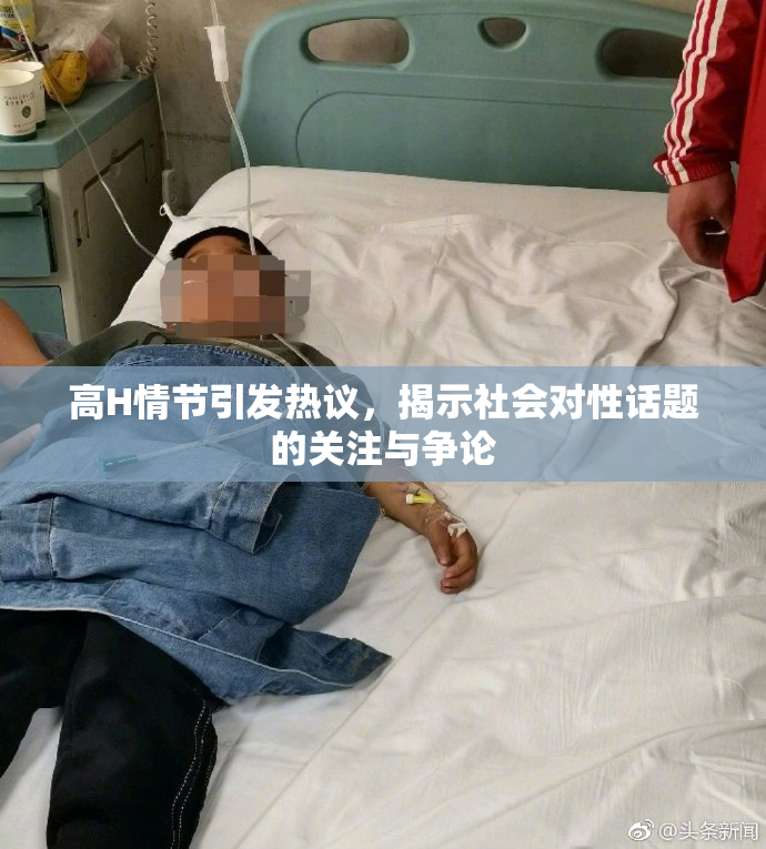 高H情节引发热议，揭示社会对性话题的关注与争论
