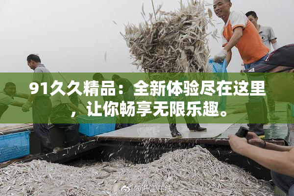91久久精品：全新体验尽在这里，让你畅享无限乐趣。