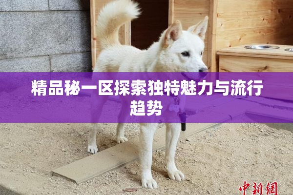 精品秘一区探索独特魅力与流行趋势