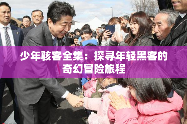 少年骇客全集：探寻年轻黑客的奇幻冒险旅程
