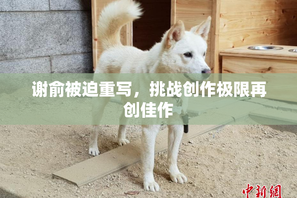 谢俞被迫重写，挑战创作极限再创佳作