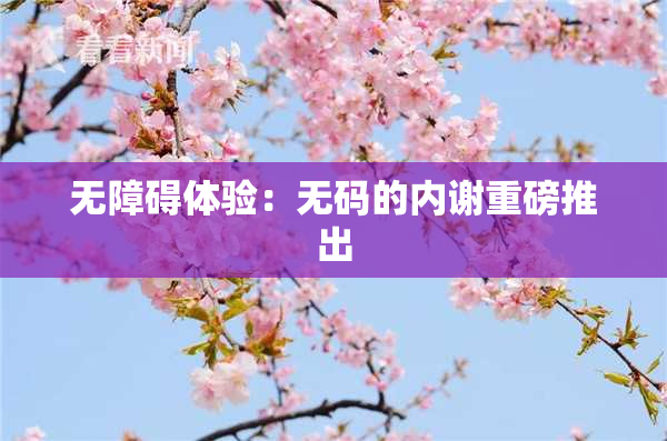 无障碍体验：无码的内谢重磅推出