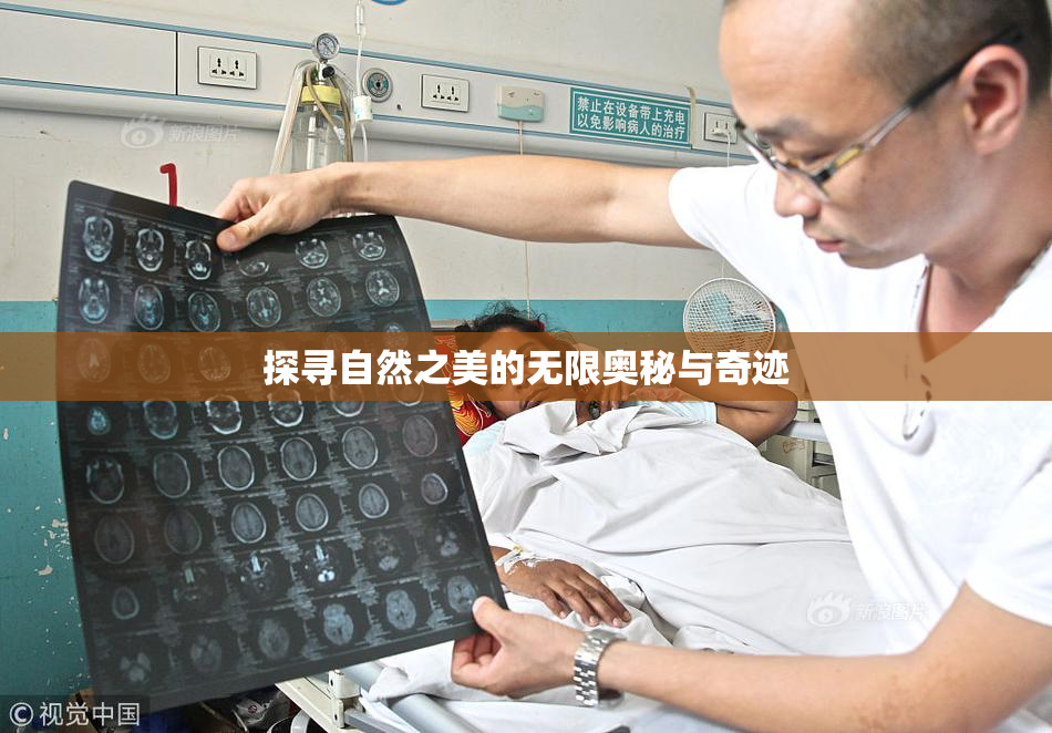 探寻自然之美的无限奥秘与奇迹