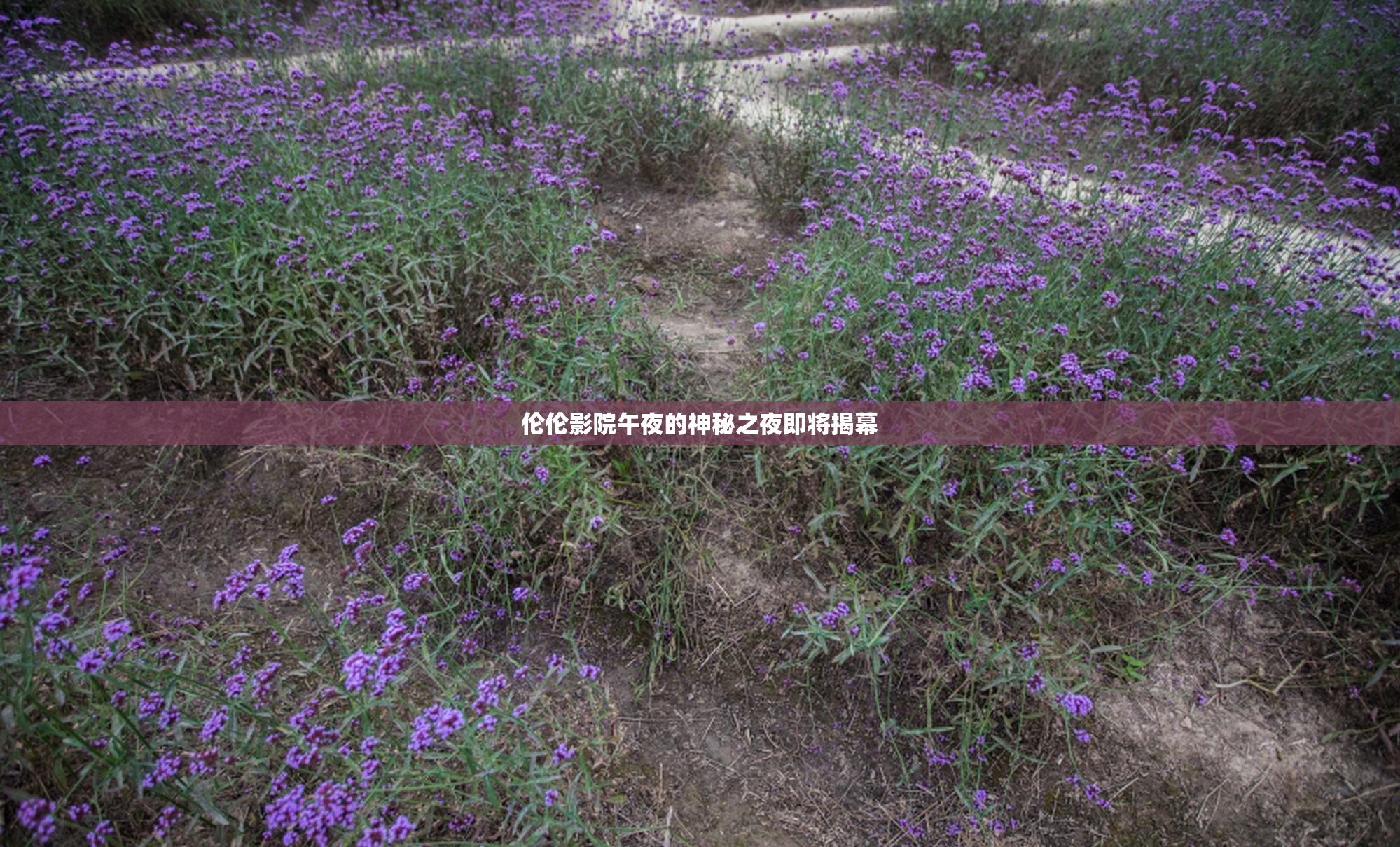 伦伦影院午夜的神秘之夜即将揭幕