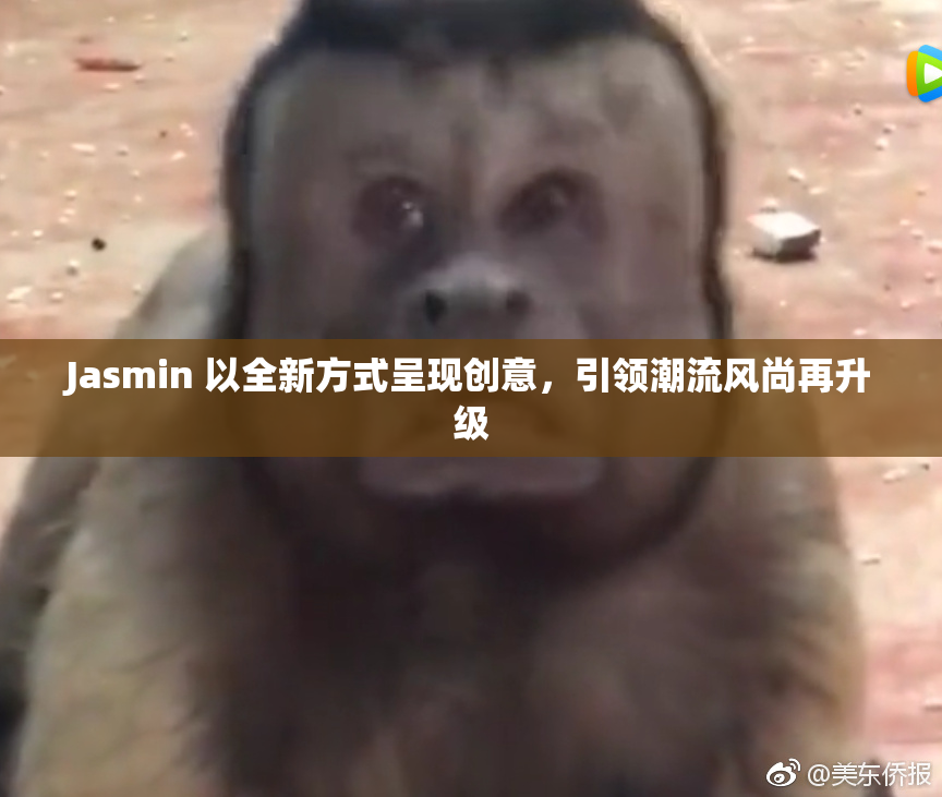 Jasmin 以全新方式呈现创意，引领潮流风尚再升级