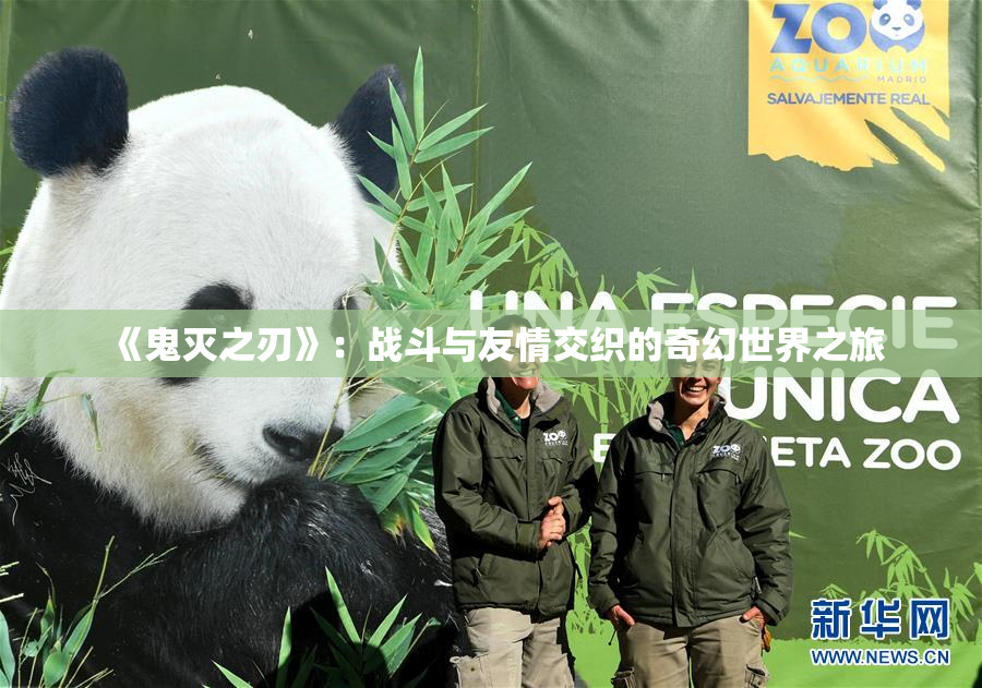 《鬼灭之刃》：战斗与友情交织的奇幻世界之旅