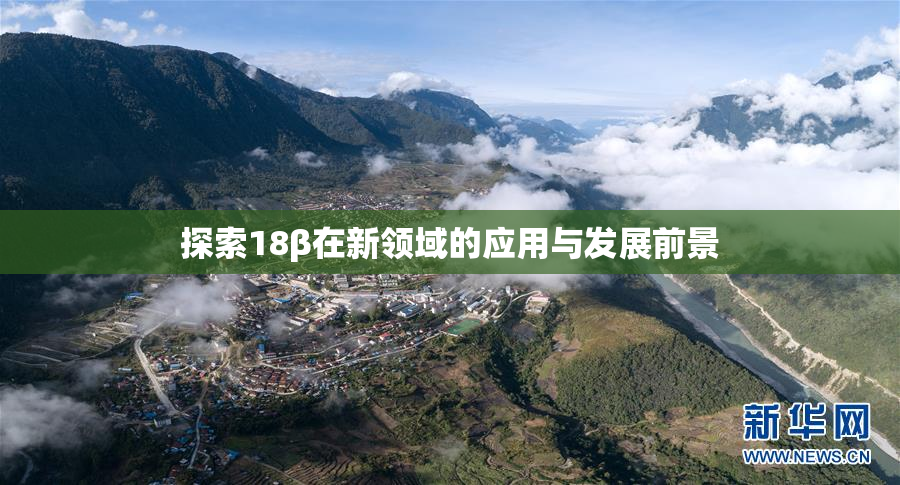探索18β在新领域的应用与发展前景