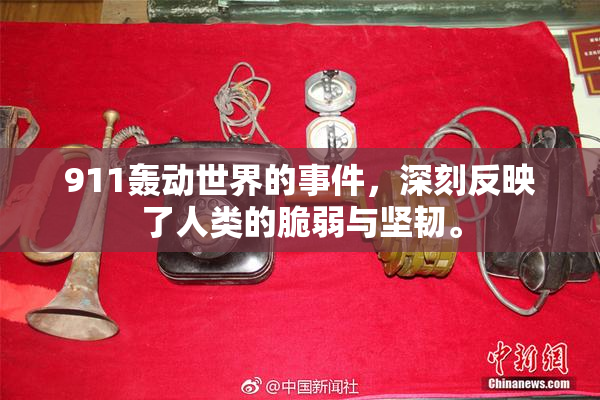 911轰动世界的事件，深刻反映了人类的脆弱与坚韧。