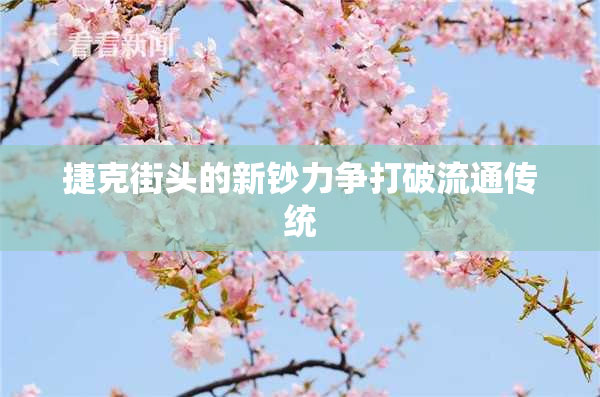 捷克街头的新钞力争打破流通传统