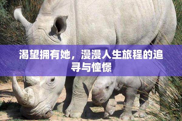 渴望拥有她，漫漫人生旅程的追寻与憧憬
