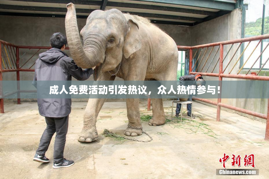 成人免费活动引发热议，众人热情参与！