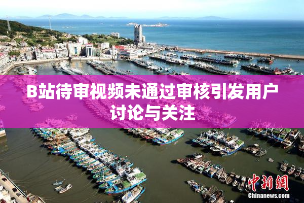 B站待审视频未通过审核引发用户讨论与关注