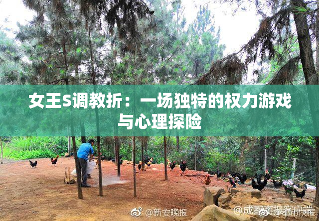 女王S调教折：一场独特的权力游戏与心理探险