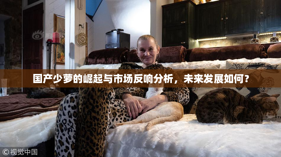 国产少萝的崛起与市场反响分析，未来发展如何？