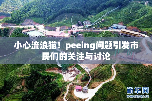 小心流浪猫！peeing问题引发市民们的关注与讨论