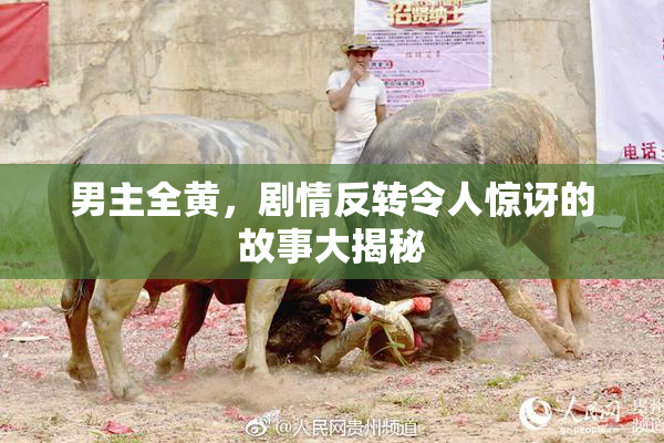 男主全黄，剧情反转令人惊讶的故事大揭秘