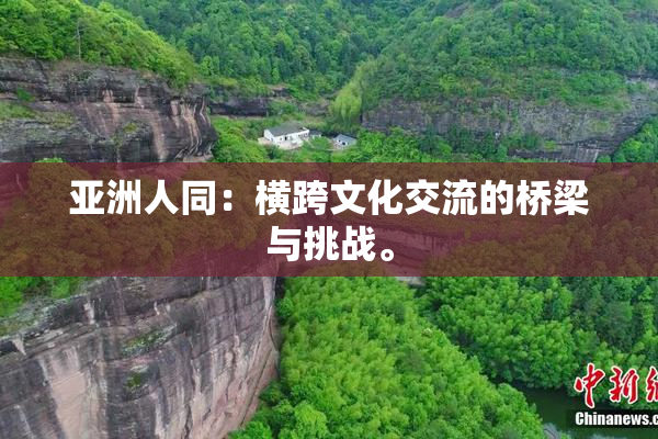 亚洲人同：横跨文化交流的桥梁与挑战。