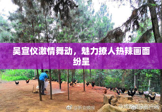 吴宣仪激情舞动，魅力撩人热辣画面纷呈