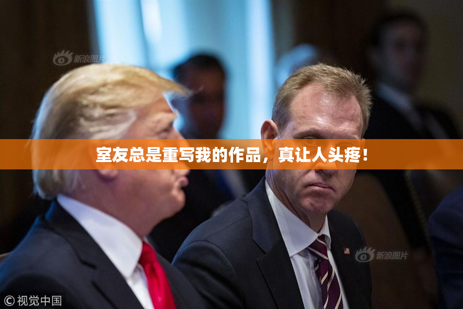 室友总是重写我的作品，真让人头疼！