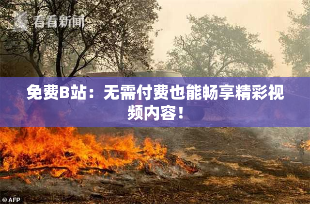 免费B站：无需付费也能畅享精彩视频内容！