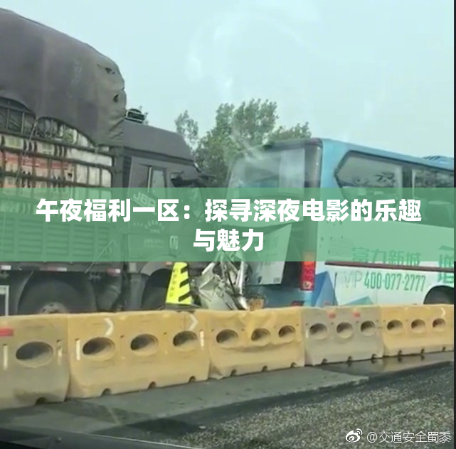 午夜福利一区：探寻深夜电影的乐趣与魅力