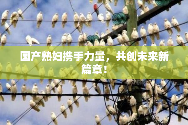 国产熟妇携手力量，共创未来新篇章！