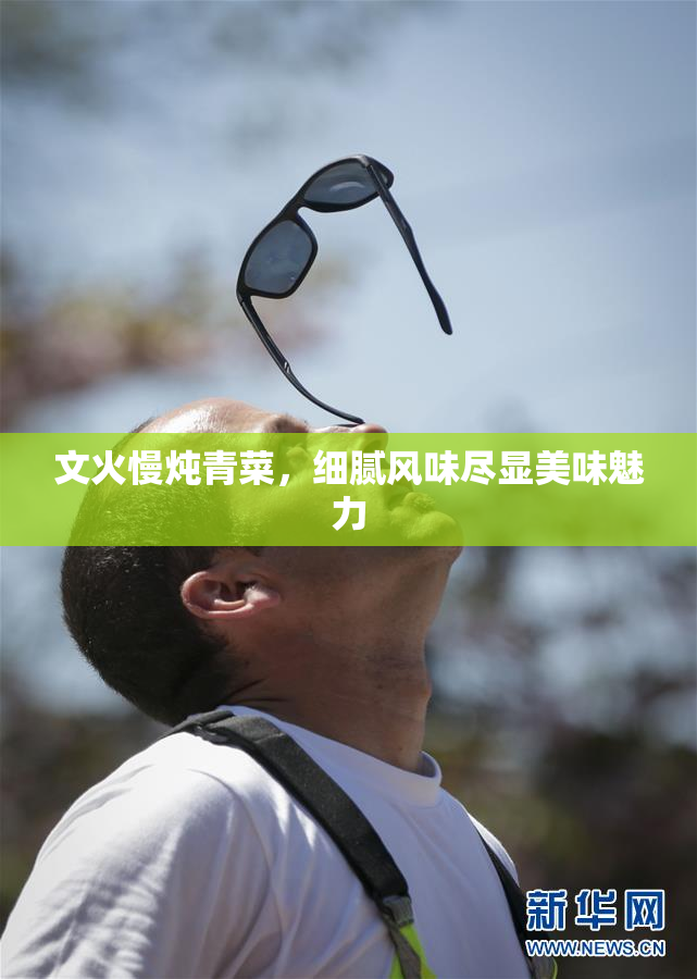 文火慢炖青菜，细腻风味尽显美味魅力