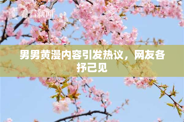 男男黄漫内容引发热议，网友各抒己见