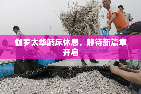 伽罗太华躺床休息，静待新篇章开启