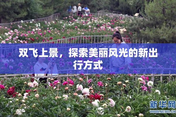 双飞上景，探索美丽风光的新出行方式
