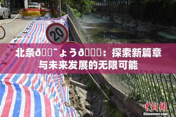 北条🔯ょう🍓：探索新篇章与未来发展的无限可能