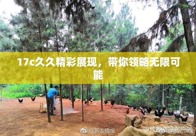 17c久久精彩展现，带你领略无限可能