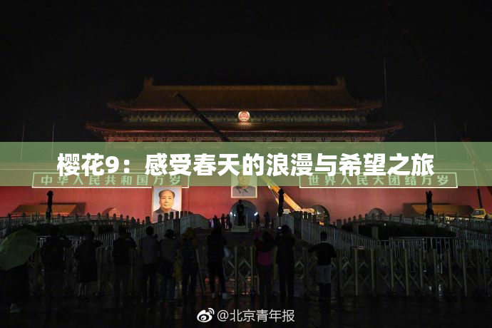 樱花9：感受春天的浪漫与希望之旅
