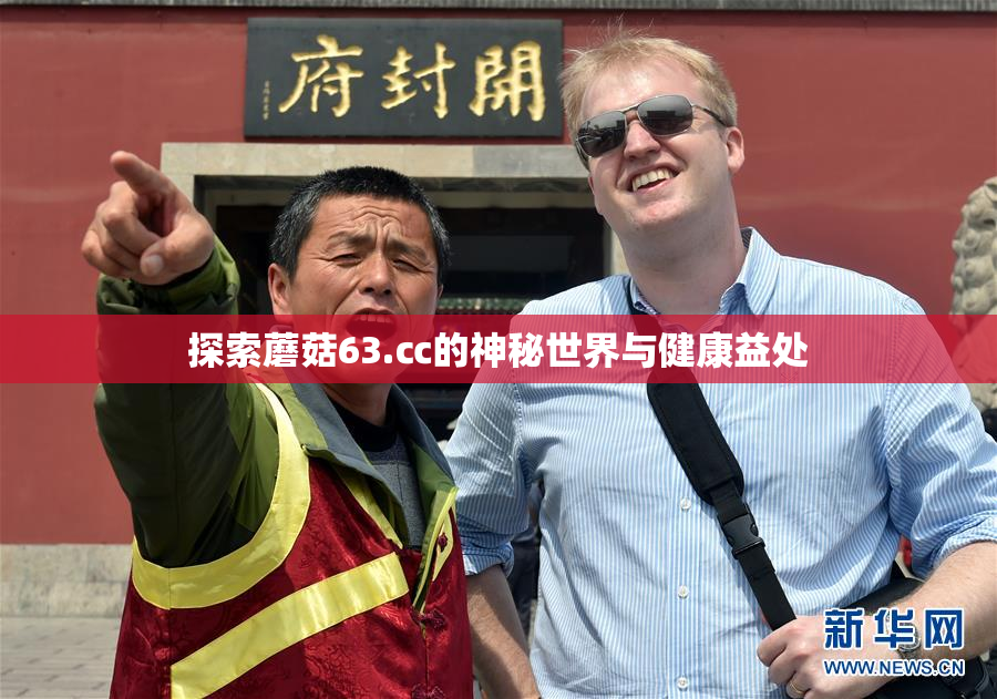 探索蘑菇63.㏄的神秘世界与健康益处