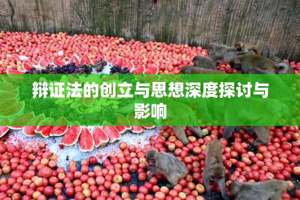 辩证法的创立与思想深度探讨与影响